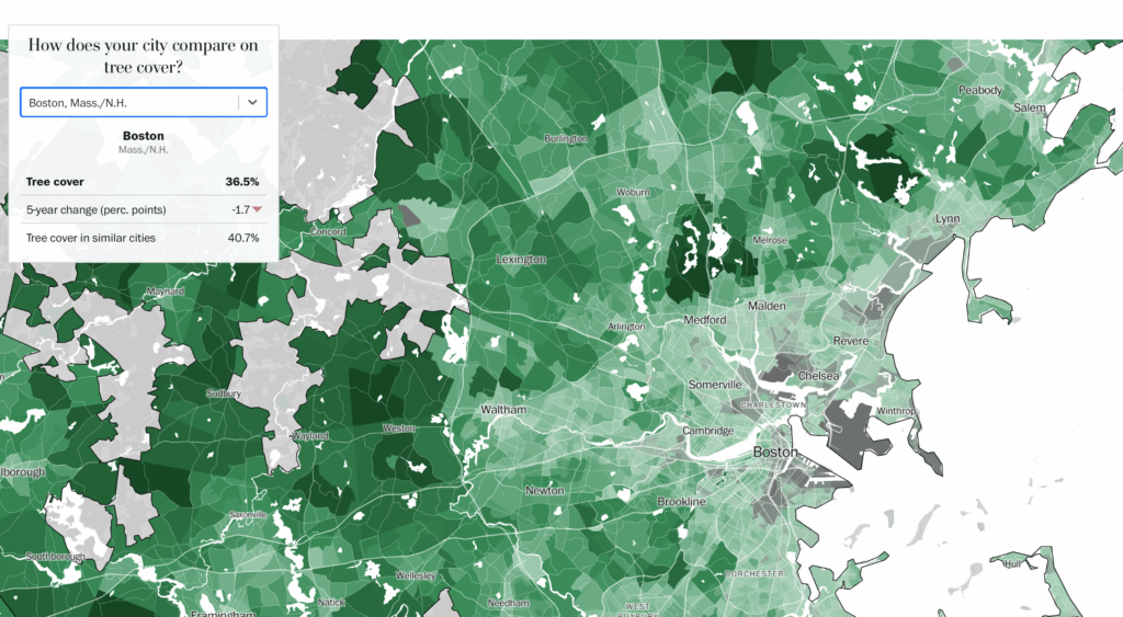 Boston Green Code How Green Is Boston: A New Study Asks Why Some Cities Have More Trees ...